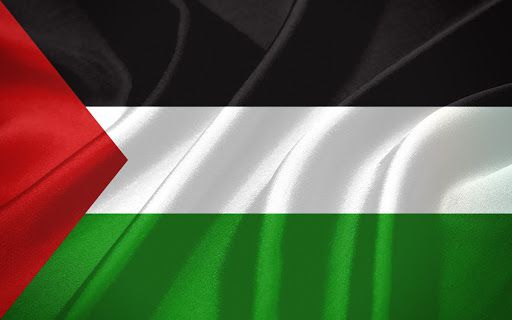 شراء منتجات DXN في فلسطين